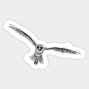 Barn owl flying Sticker